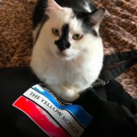 🐾まろすけฅ🐾