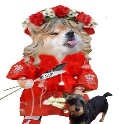 NAFOfellalotte🇩🇰🇺🇦🇬🇪🇬🇱