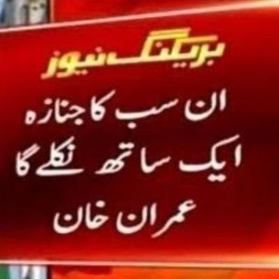 Hope17861 - Qaidi #804