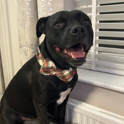 Baby Frank & his teddy, Edward 🧸🏴󠁧󠁢󠁷󠁬󠁳󠁿