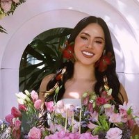 🏹Jurídico da Belle⚖️