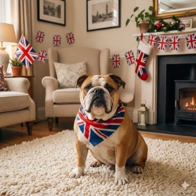 Stuey Beef 🇬🇧🏴󠁧󠁢󠁥󠁮󠁧󠁿