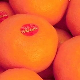 彦 丸子 -HIKO maruko-𓆜𓆝