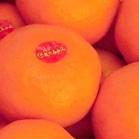 彦 丸子 -HIKO maruko-𓆜𓆝