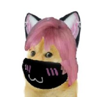 Meaglon🇩🇪🇪🇺🏳️‍🌈🧩