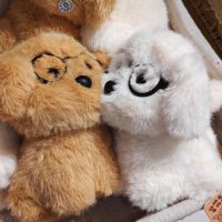 แอปปิ้ว 🍏 ˈ∗