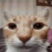 патрис, 21 ans 🥀