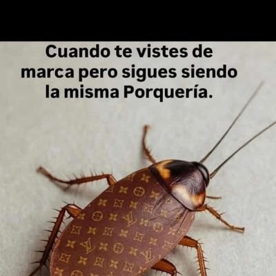 Los Gatos Del Pueblo - Verdad Sin Miedo