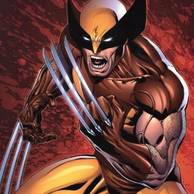 Wolverine1323