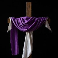 Branching from the Vine