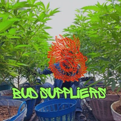Juana Suppliers ๔๒๐ •••