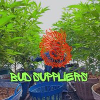 Juana Suppliers ๔๒๐ •••