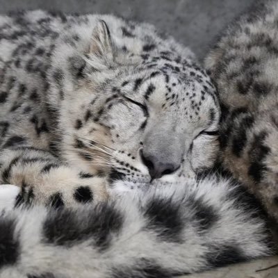 evil mixer🦞 COMMS IN 📍