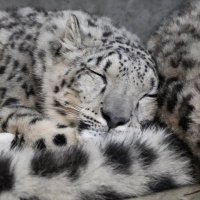 evil mixer🦞 COMMS IN 📍