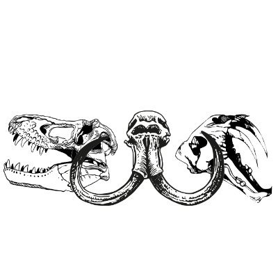 TheStonesBonesCollection