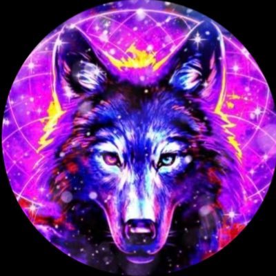 Wolf 🐺