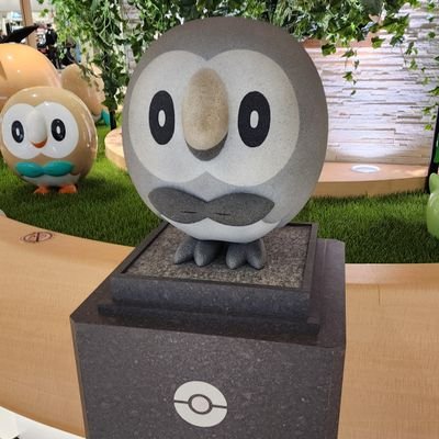 🐶같은 공놀이