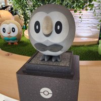 🐶같은 공놀이