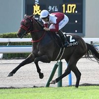 スプリント専競馬🏇