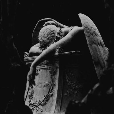 Rio🕸🦇 || shedtwt ||