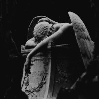 Rio🕸🦇 || shedtwt ||