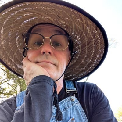 Into The Forest Dark