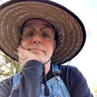 Into The Forest Dark