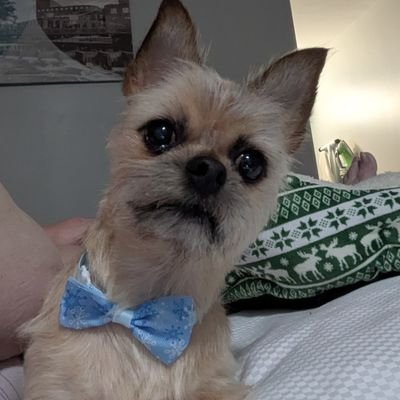 ❤️ ❤️ DEECOATS1974 💜💜