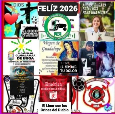 FERNANDO JOSÉ GUTIÉRREZ ESTRADA