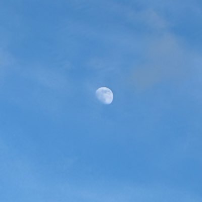 麻雀大好きマン(笑)