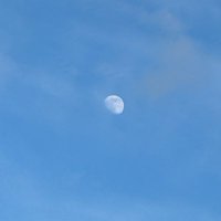 麻雀大好きマン(笑)