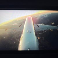 ウェンディ✈️JALサ部員