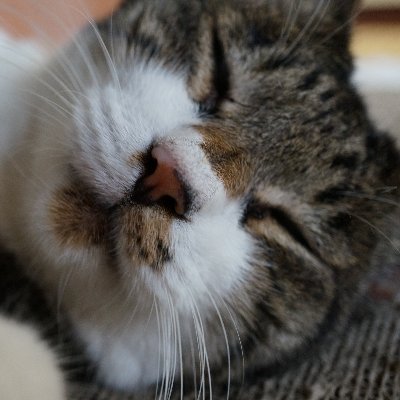 東京ケメ子♪。