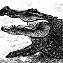 Paul Sutcliffe Artist