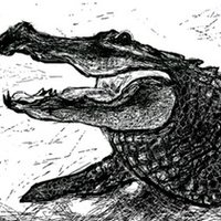 Paul Sutcliffe Artist