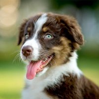 Classified (OG) ™️ -