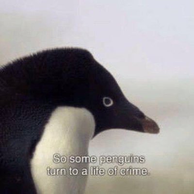 Criminal Penguin