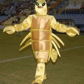 🧄 #pipanosascenderá #alivuelve