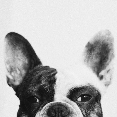 Victoria R5Argentina