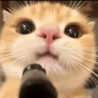 XxxゆーげんさんxxX