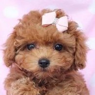 Jen R - Team Runch ✌️🫂