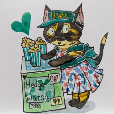 Biscuit😻🐦🐾💕