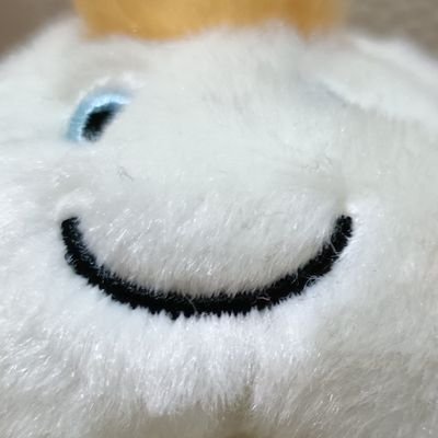 四つ葉🍀🎌🌌〜12-leaf clover〜🌠☄️☄️