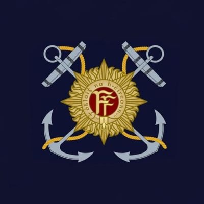 Irish Naval Service