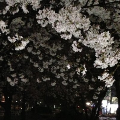 さまようひつじ。