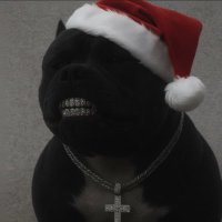 Dominique Valenzuela