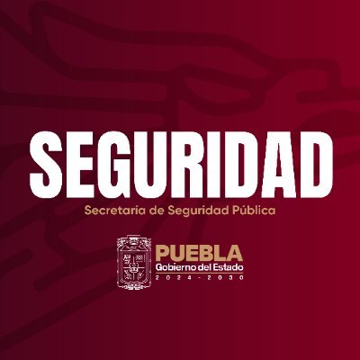 Secretaría de Seguridad Pública