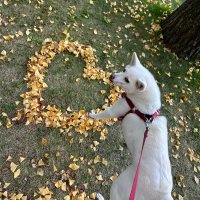 ええ意味で…。