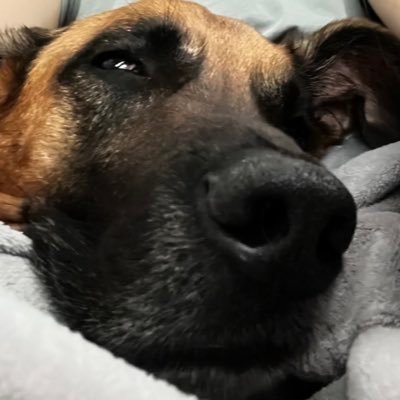 Falk ♂︎ ✞ ✠ 𖦏 ✌︎