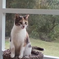 LeeA aka/Princess LeeA & Mom